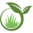 Sarasota Lawn Clean Up