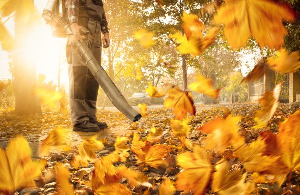 Cost of Leaf Blowing Service in Sarasota