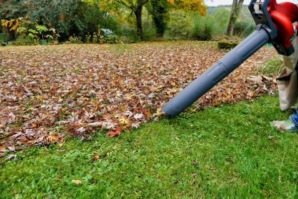 Cost of Leaf Vacuuming Service in Sarasota