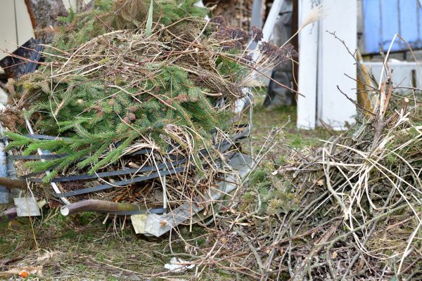 Cost of Yard Debris Removal in Sarasota