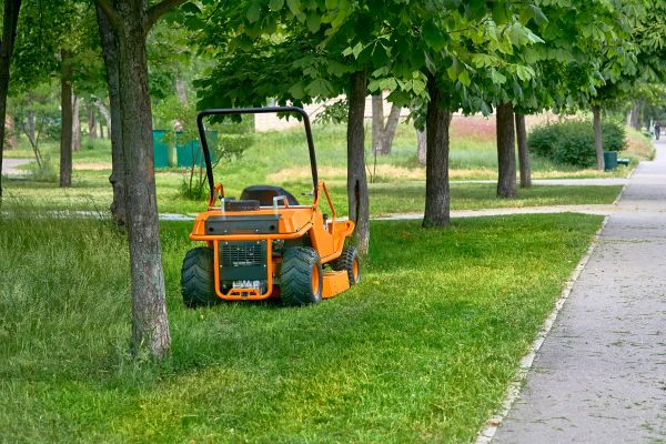 Cost of Landscaping Cleanup Service in Sarasota