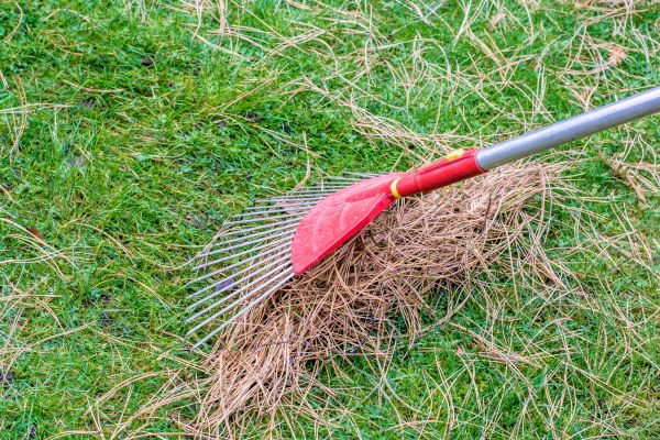 Cost of Yard Raking in Sarasota