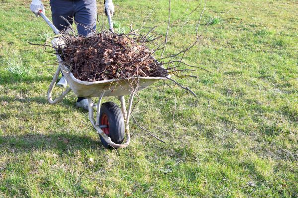 Cost of Yard Brush Removal in Sarasota