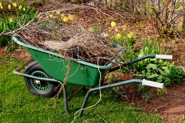 Cost of Lawn Waste Removal in Sarasota