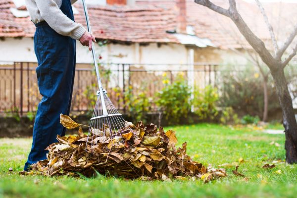 Cost of Fall Yard Cleanup Service in Sarasota