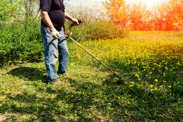 Cost of Yard Clearing Service in Sarasota