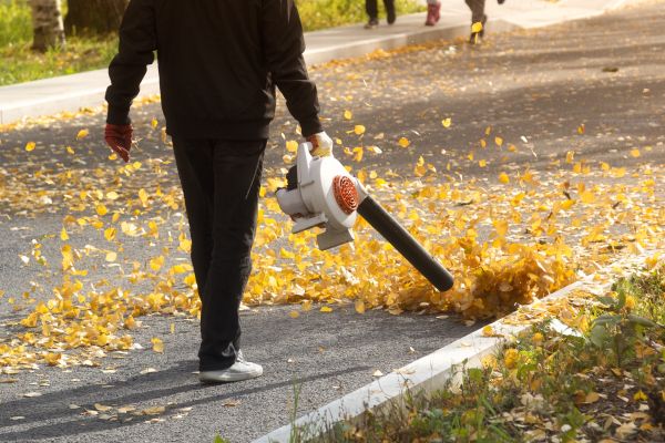 Cost of Commercial Leaf Removal in Sarasota