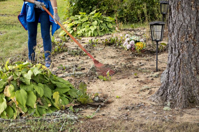 Leaf Cleanup Service