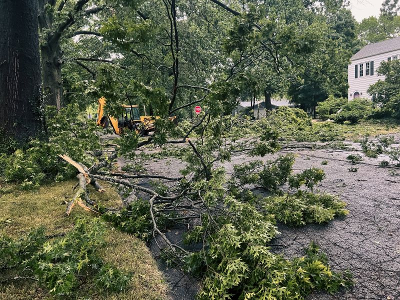 Storm Damage Cleanup Services